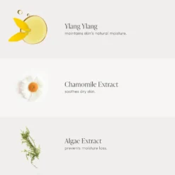 Jane Iredale D2O Hydration Spray (3.04 Fl. Oz.) 10 Jane Iredale D2O Hydration Spray (3.04 Fl. Oz.) -Jane Iredale || By Terry || Coola SAles Store 12031852 9345062513876176