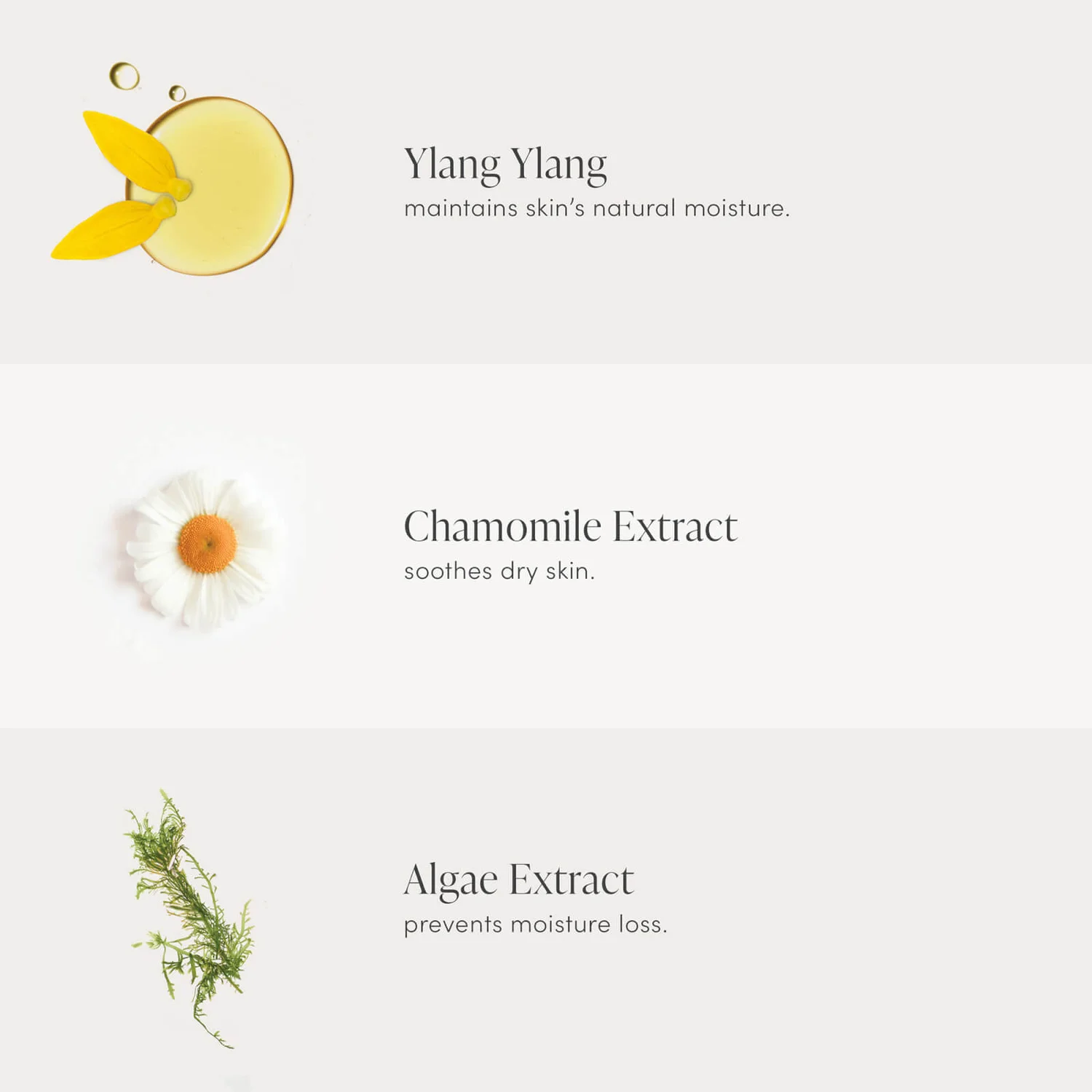 Jane Iredale D2O Hydration Spray Refill (9.5 Fl. Oz.) 5 Jane Iredale D2O Hydration Spray Refill (9.5 Fl. Oz.) - Image 5